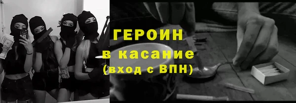 прущие грибы Вязьма